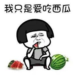 吃娱乐圈瓜应该去哪里,揭秘热门明星幕后故事,吃瓜指南大放送!